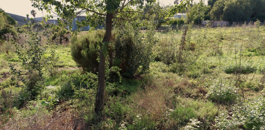 0 Bedroom Property for Sale in Uniondale Western Cape